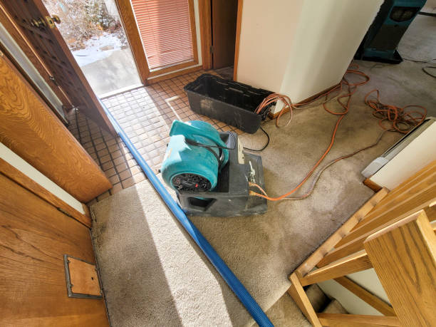 Water damage restoration insurance claims in Bemiss, GA