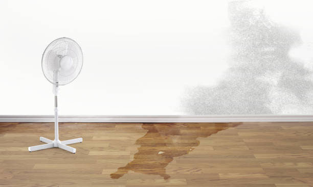 24/7 water damage repair in Bemiss, GA