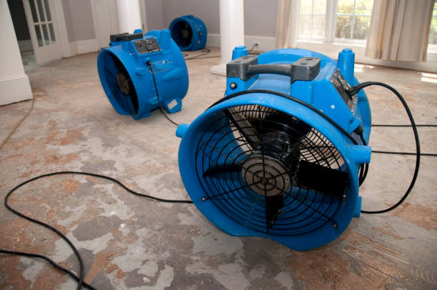  Bemiss, GA Water damage restoration Pros