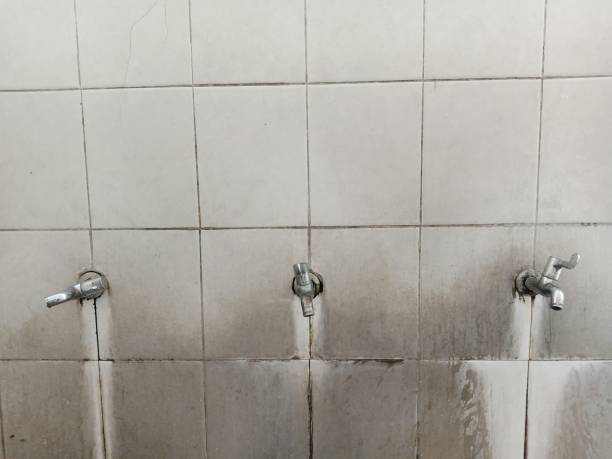 Best Basement water damage restoration  in Bemiss, GA