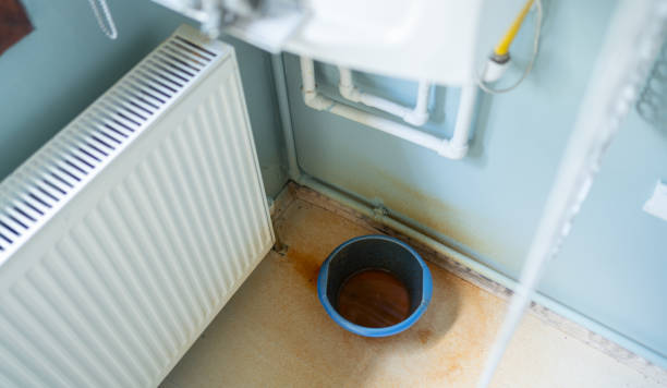 Best Water damage restoration near me  in Bemiss, GA